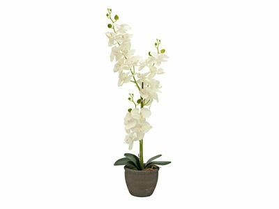 Orkidea tekokasvi ruukussa 80cm, kerma