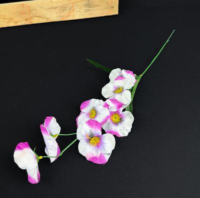 Orvokki kestokukka, violetti/viininpunainen