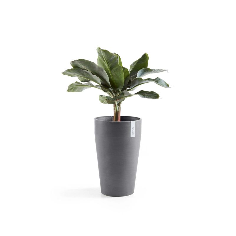 Kukkaruukku Sankara keskikorkea 55cm harmaa