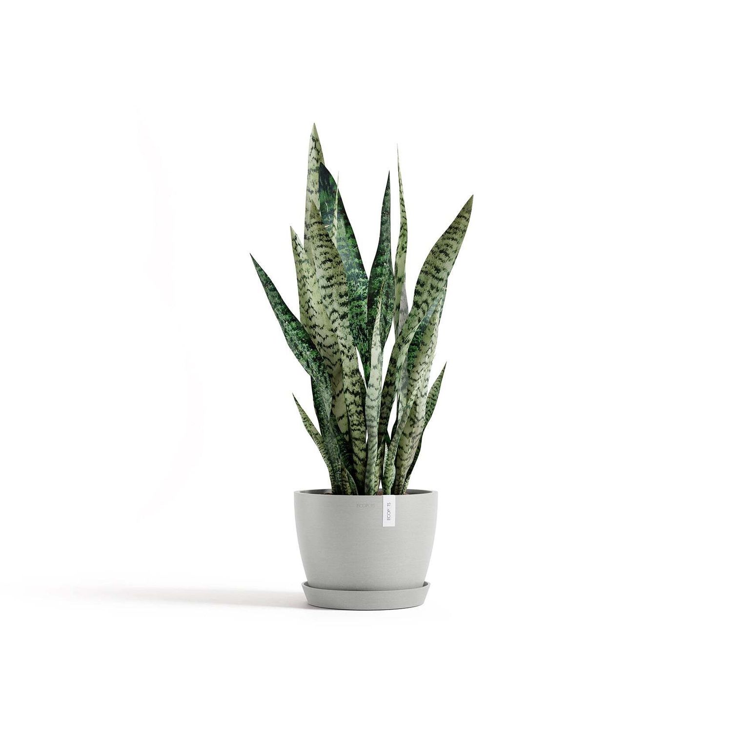 Kukkaruukku Tukholma 24cm valkoharmaa