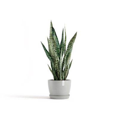 Kukkaruukku Tukholma 24cm valkoharmaa