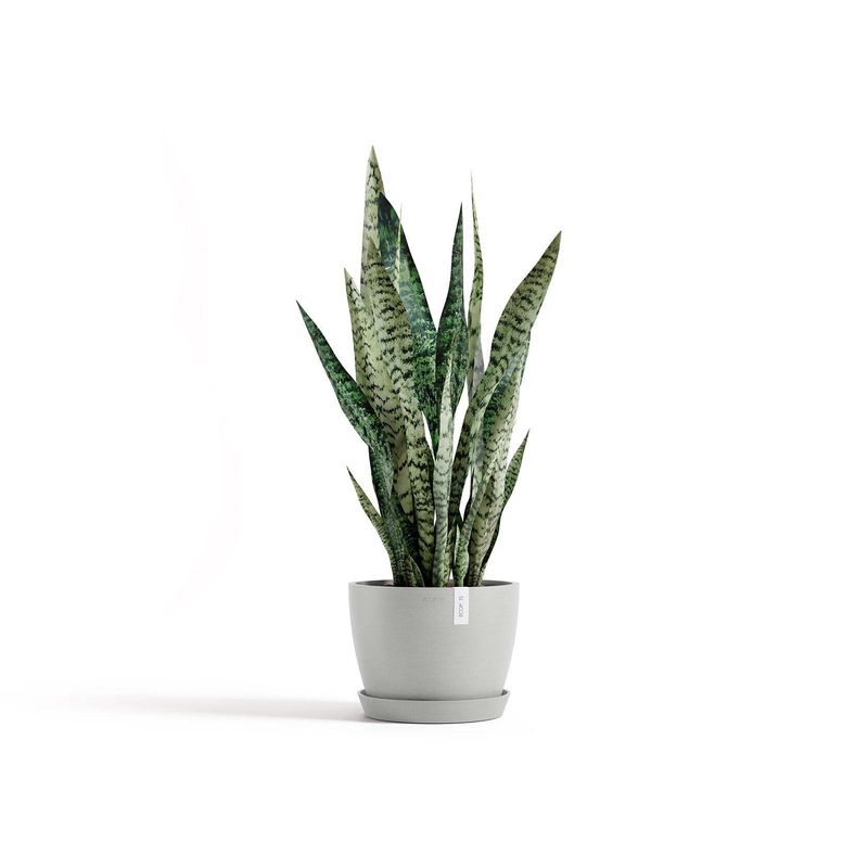 Kukkaruukku Tukholma 24cm valkoharmaa