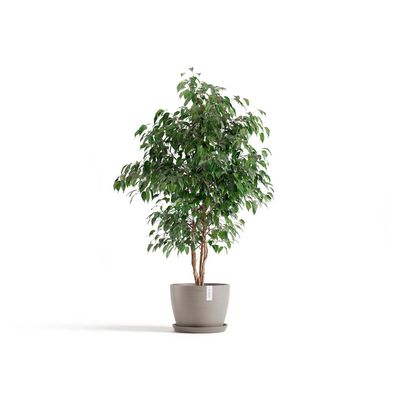 Kukkaruukku Tukholma 31cm taupe