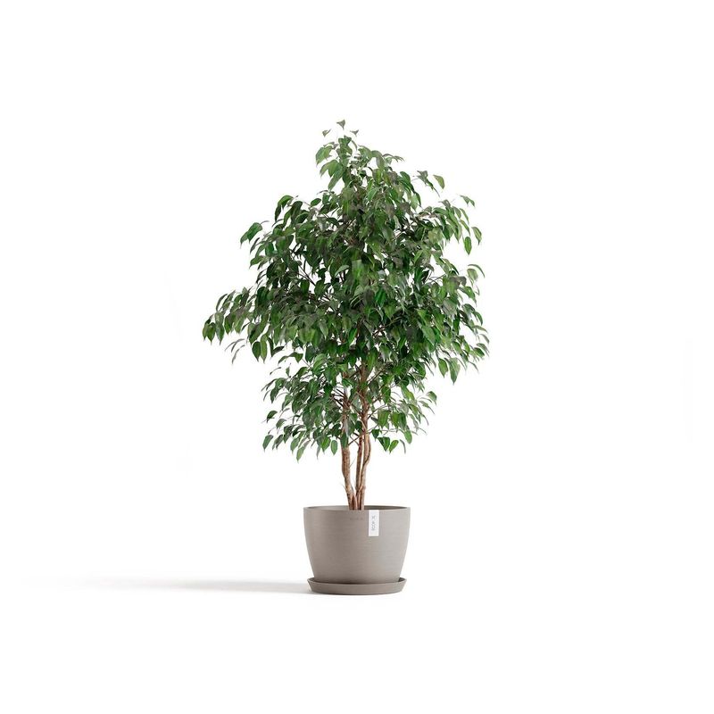 Kukkaruukku Tukholma 31cm taupe