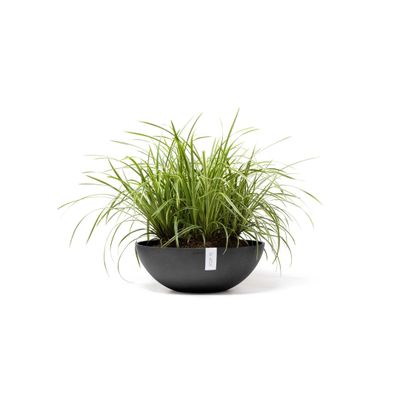 Kukkaruukku Vienna 50cm tummanharmaa