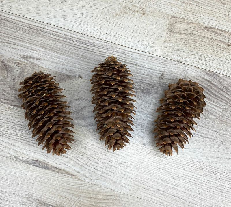 Kuusen käpy 3kpl