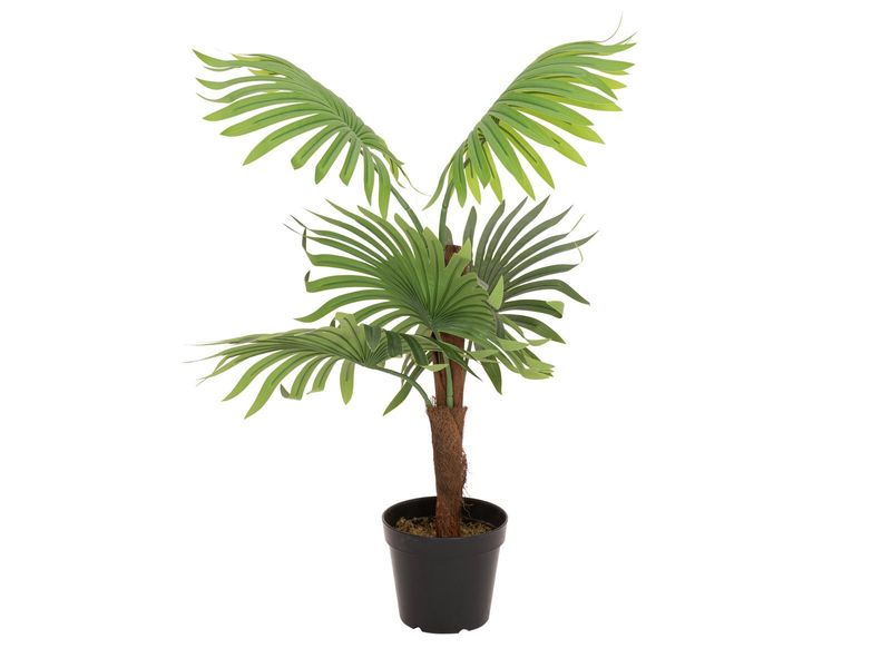 Kääpiöpalmu -tekopalmu 85cm