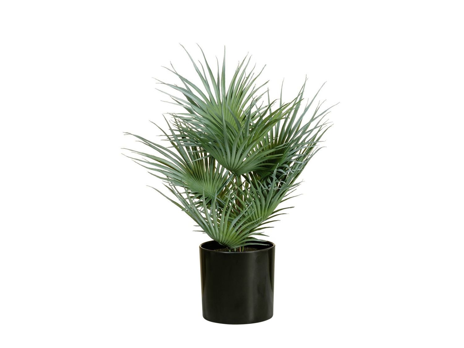 Kääpiöpalmu -tekopalmu 55cm