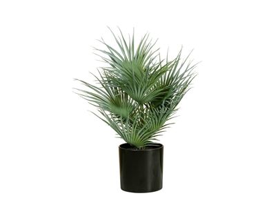 Kääpiöpalmu -tekopalmu 55cm