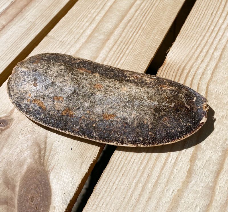 Litteä lastu 12-16cm