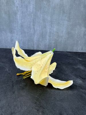 Tekokukan kukkaosa