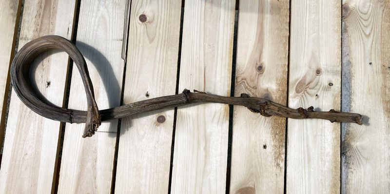 Luonnonoksa 70cm