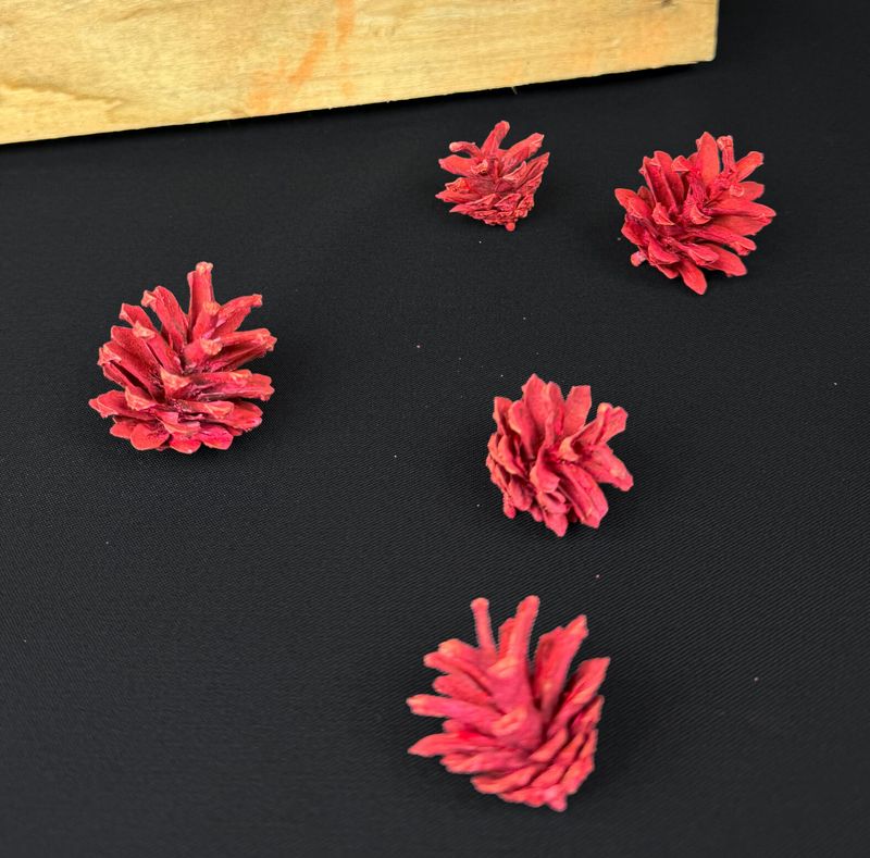 Luonnonkäpy 5kpl, punainen