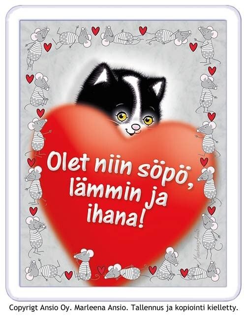 Magneetti: kissa
