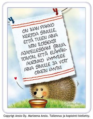 Magneetti: iloinen pallerosiili