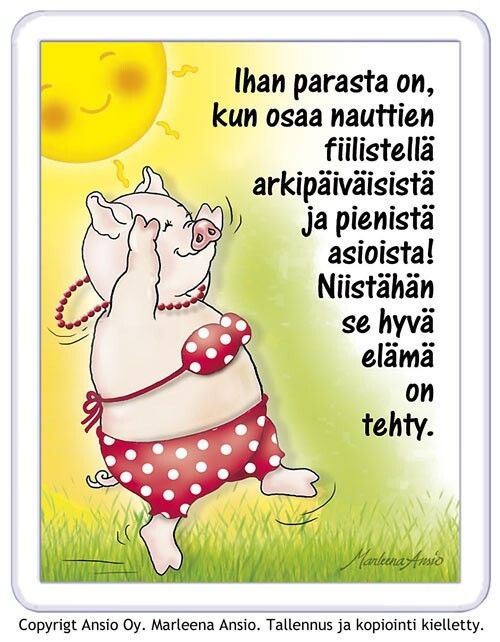 Magneetti: fiilistelevä possu
