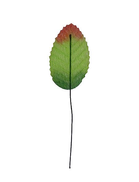 Koristelehdet 10kpl, vihreä/punaruskea