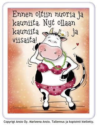 Magneetti: kauniit ja viisaat