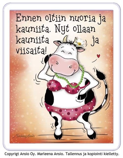 Magneetti: kauniit ja viisaat