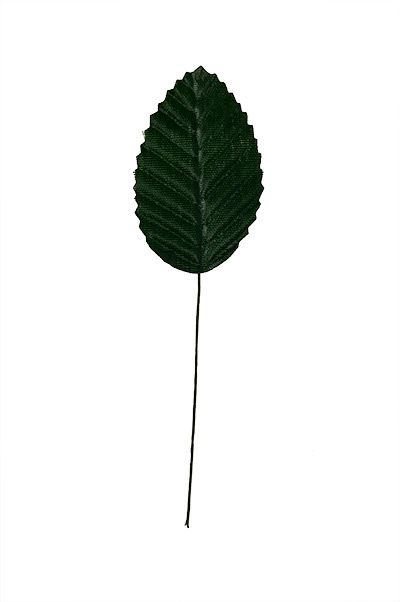 Koristelehdet 10kpl, tummanvihreä