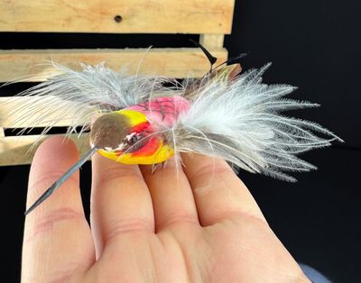 Koristelintu kolibri, keltainen/pinkki