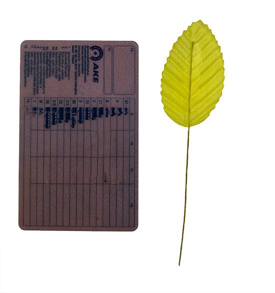 Koristelehti 10kpl, keltainen