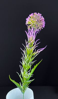 Koristesipuli teko-oksa, vihreä/violetti