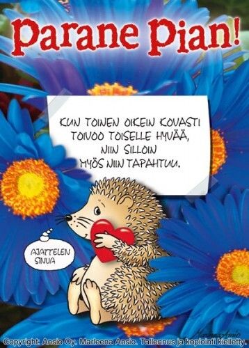 Kortti Marleena Ansio: parane pian siili