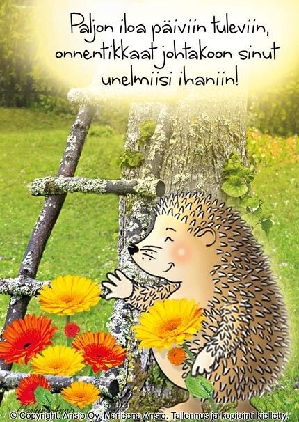 Kortti Marleena Ansio: iloinen siili