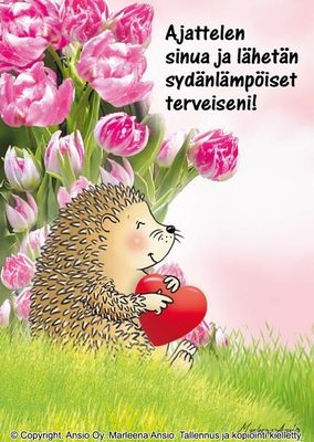 Kortti Marleena Ansio: söpö siili