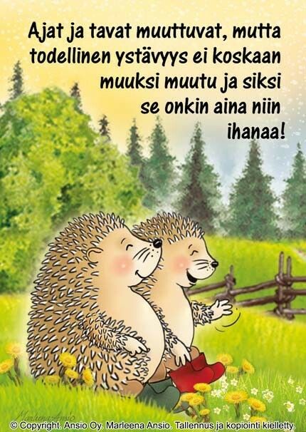 Kortti Marleena Ansio: suloiset siilit
