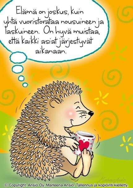 Kortti Marleena Ansio: siili