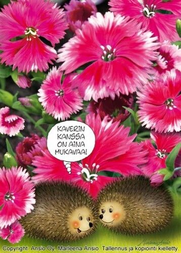 Kortti Marleena Ansio: suloiset pallerosiilit