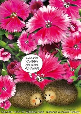 Kortti Marleena Ansio: suloiset pallerosiilit