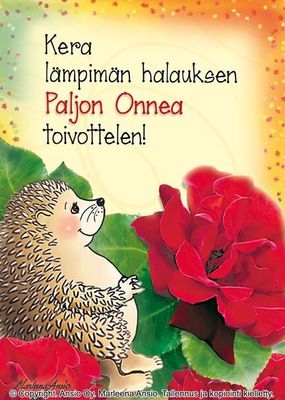 Kortti Marleena Ansio: Onnittelu-siili