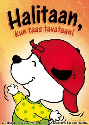 Kortti Marleena Ansio: hali