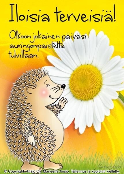 Kortti Marleena Ansio: tervehdys siili