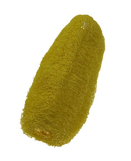Kuivattu/värjätty luonnonkoriste