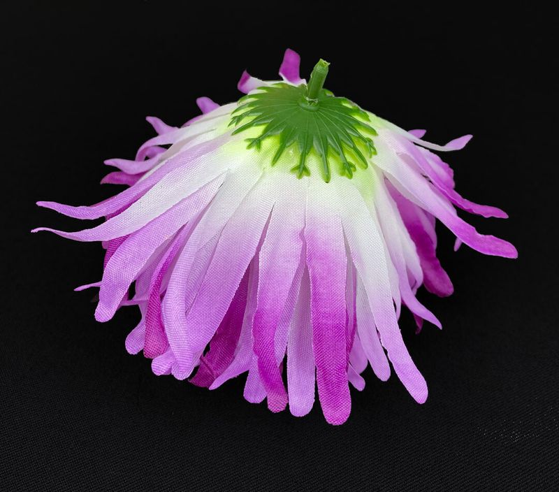 Krysanteemi kestokukkapää, violetti