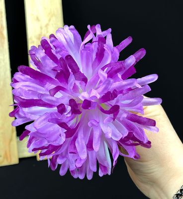 Violetti krysanteemi tekokukka
