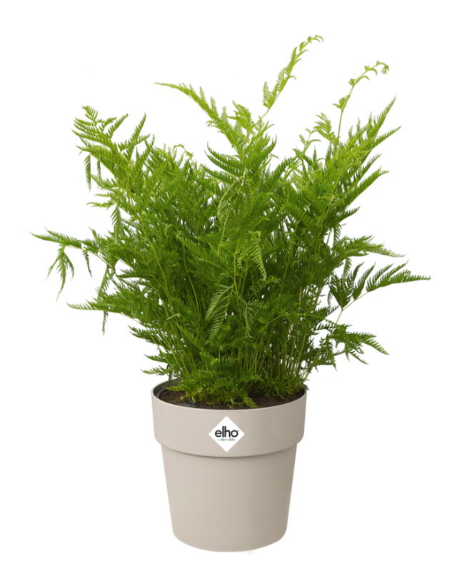 Kukkaruukku 14cm - Lämmin harmaa ELHO