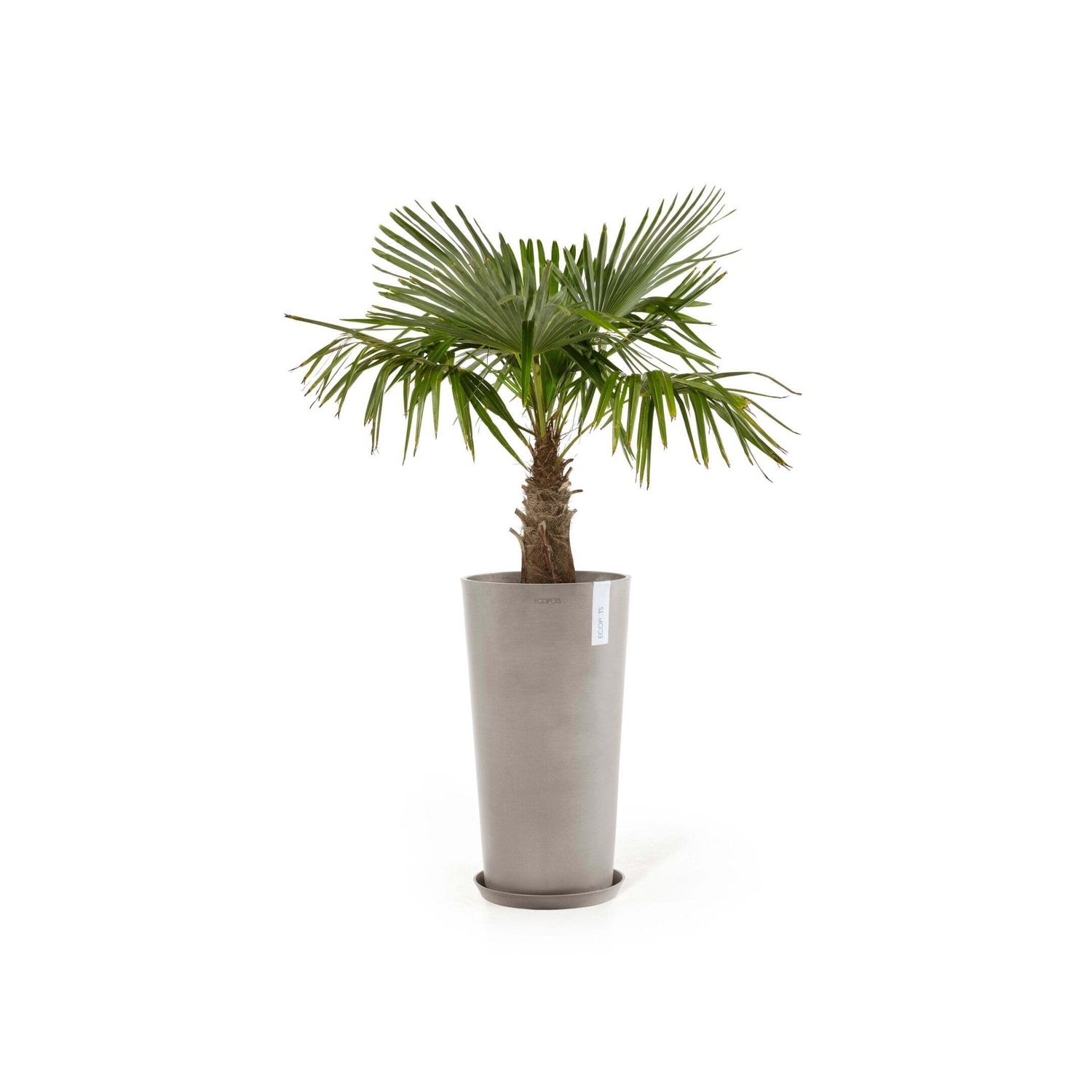 Kukkaruukku Amsterdam korkea 76cm taupe