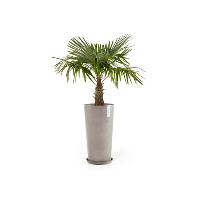Kukkaruukku Amsterdam korkea 76cm taupe