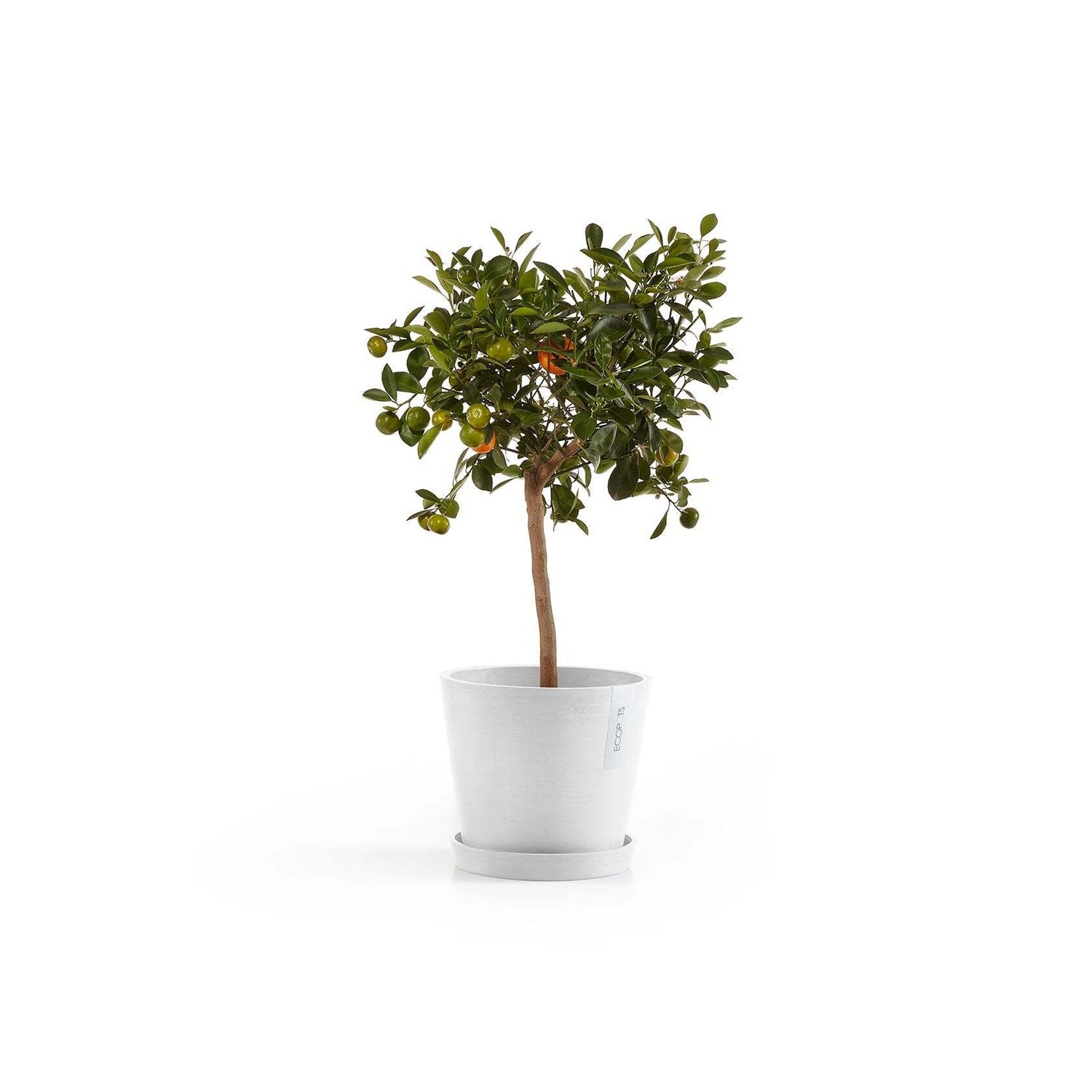 Kukkaruukku Amsterdam 20cm valkoinen