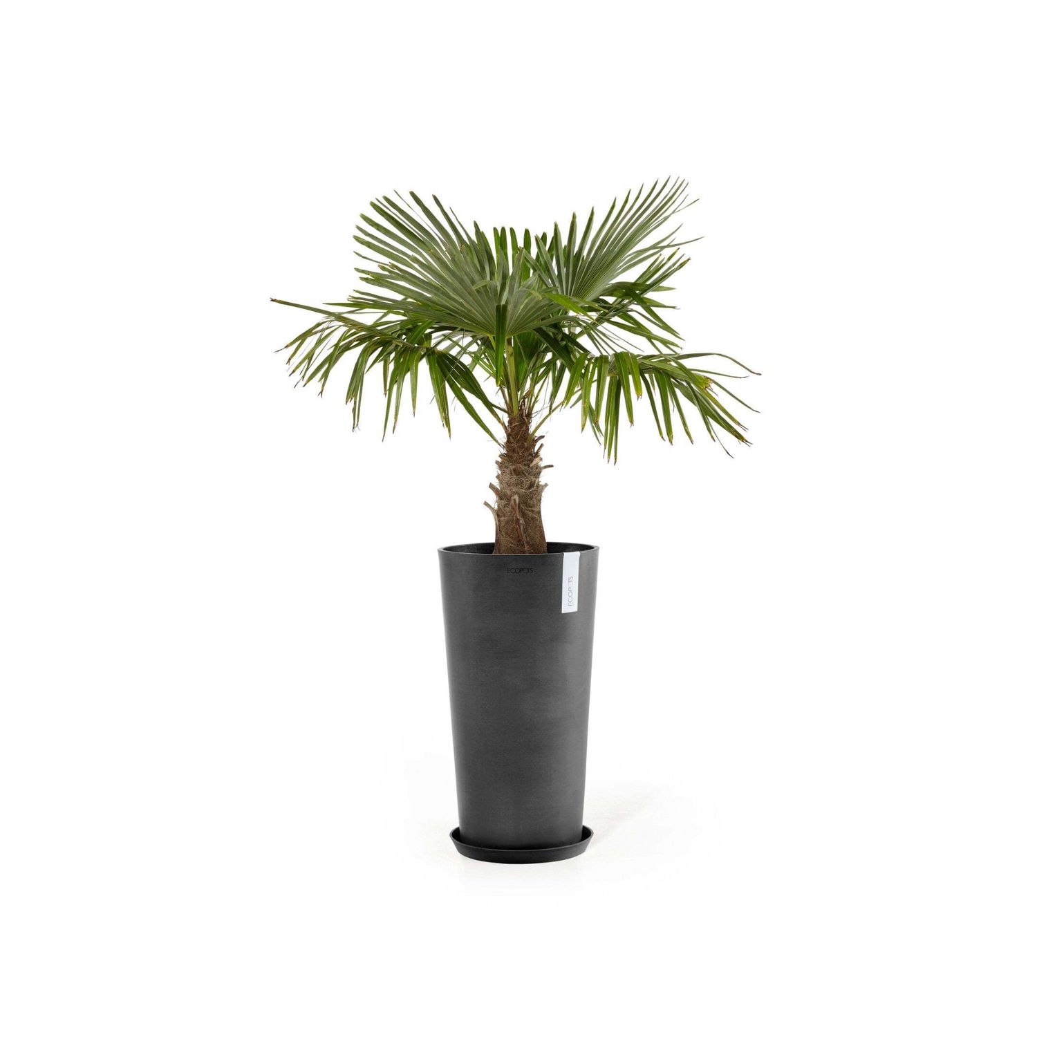 Kukkaruukku Amsterdam keskikorkea 66cm tummanharmaa