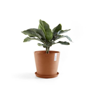 Kukkaruukku Amsterdam 25cm terracotta