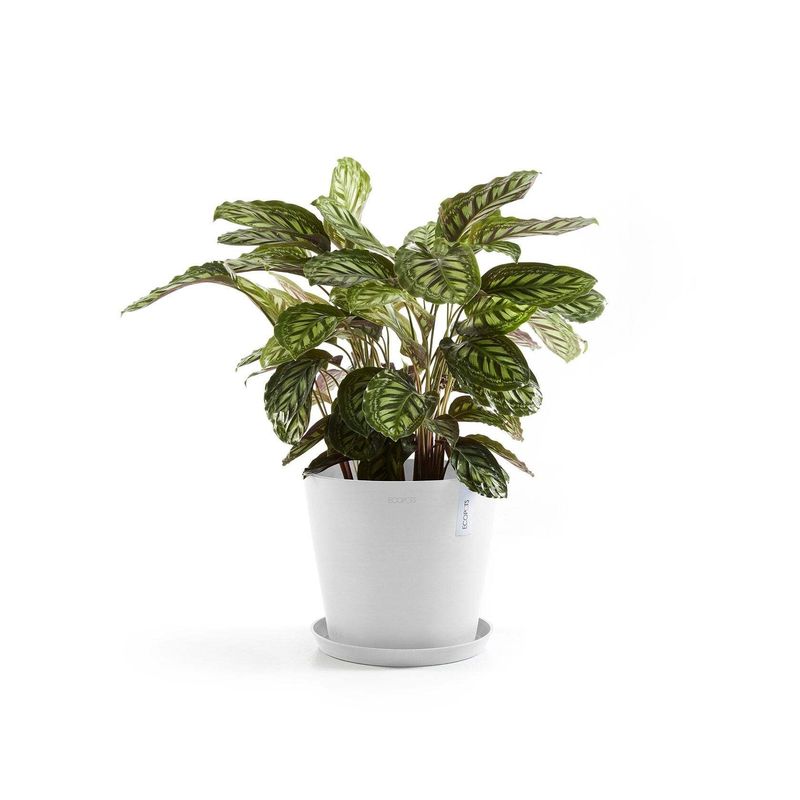 Kukkaruukku Amsterdam 30cm valkoinen