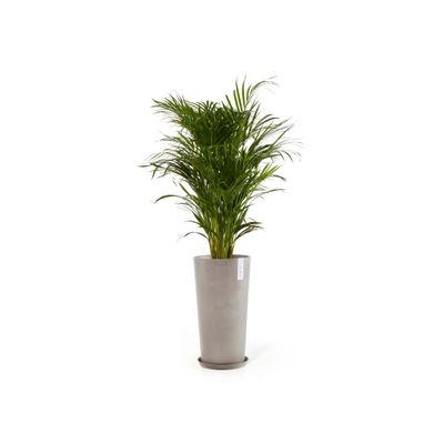 Kukkaruukku Amsterdam korkea 90cm taupe