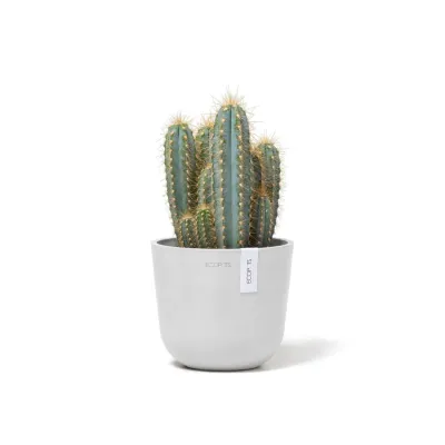 Kukkaruukku Oslo 16cm valkoinen