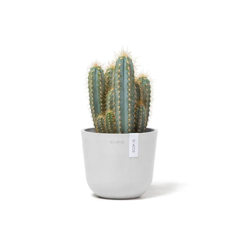 Kukkaruukku Oslo 16cm valkoinen